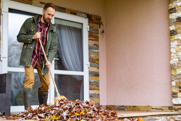 Yard Cleanup Services in Westlake Village, CA